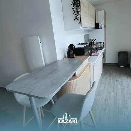Apartment Le Trianon 50m2 - Hypercentre Reims